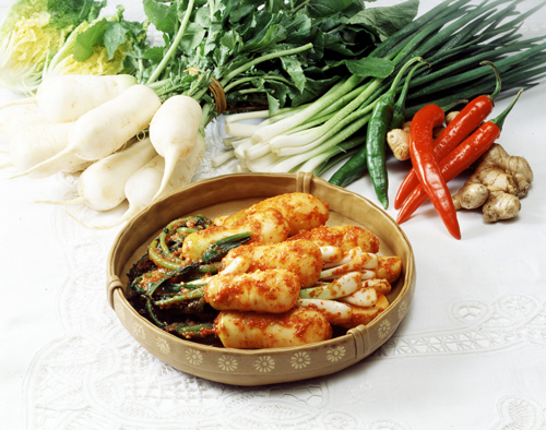 포기/알타리 김치
